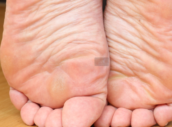 24ddadfeda85ec97487069e87171390.png
