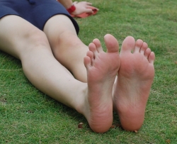  [14P]
