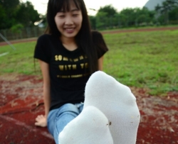 ѧ൐ϵ (141)  113P
